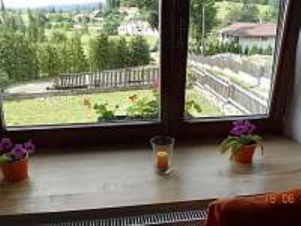 Pod Lesem Holiday home *